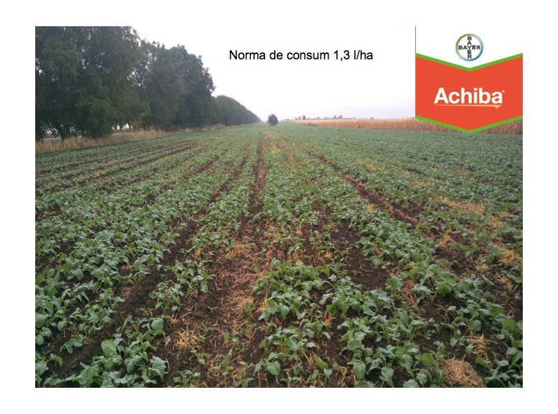 Protec Ia Plantelor Erbicide Erbicid Achiba